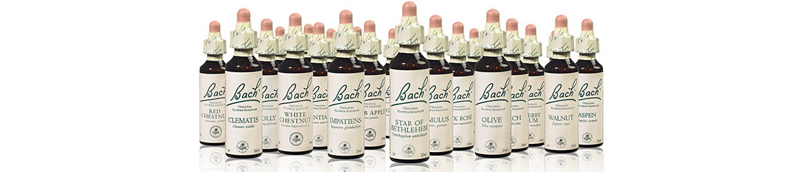 fleur-de-bach-large