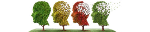 alzheimer-grande