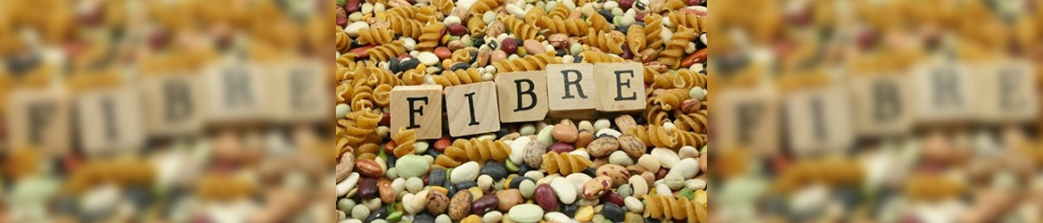 fibre-large