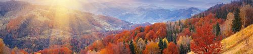 septembre-large